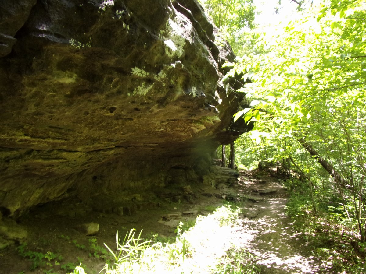 n_ozarks_2018 (4).jpg